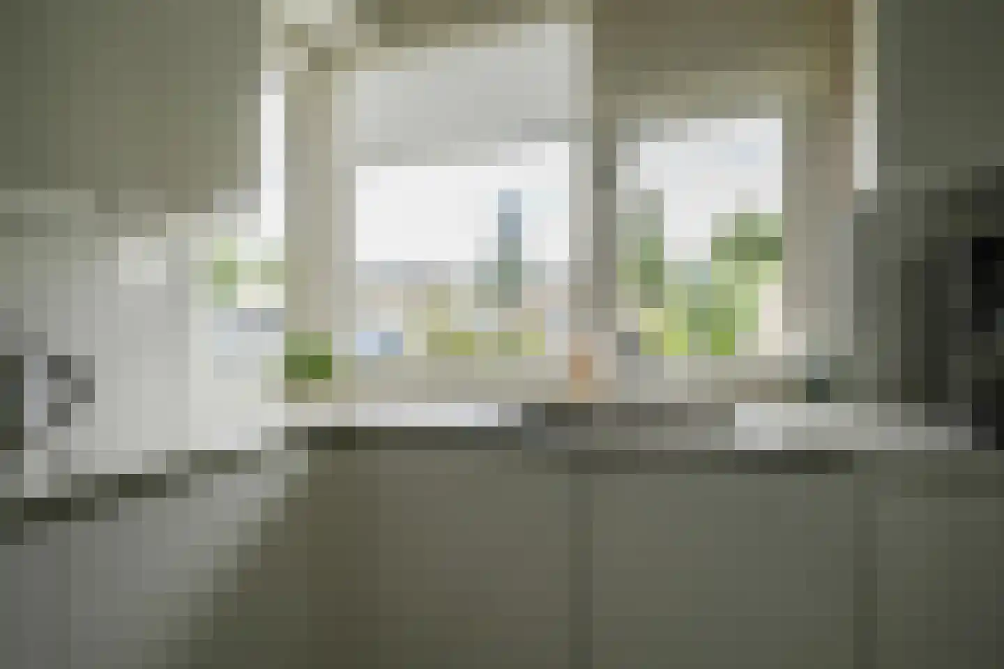 Hertshoornvaren 15 Bergschenhoek thumbnail 20