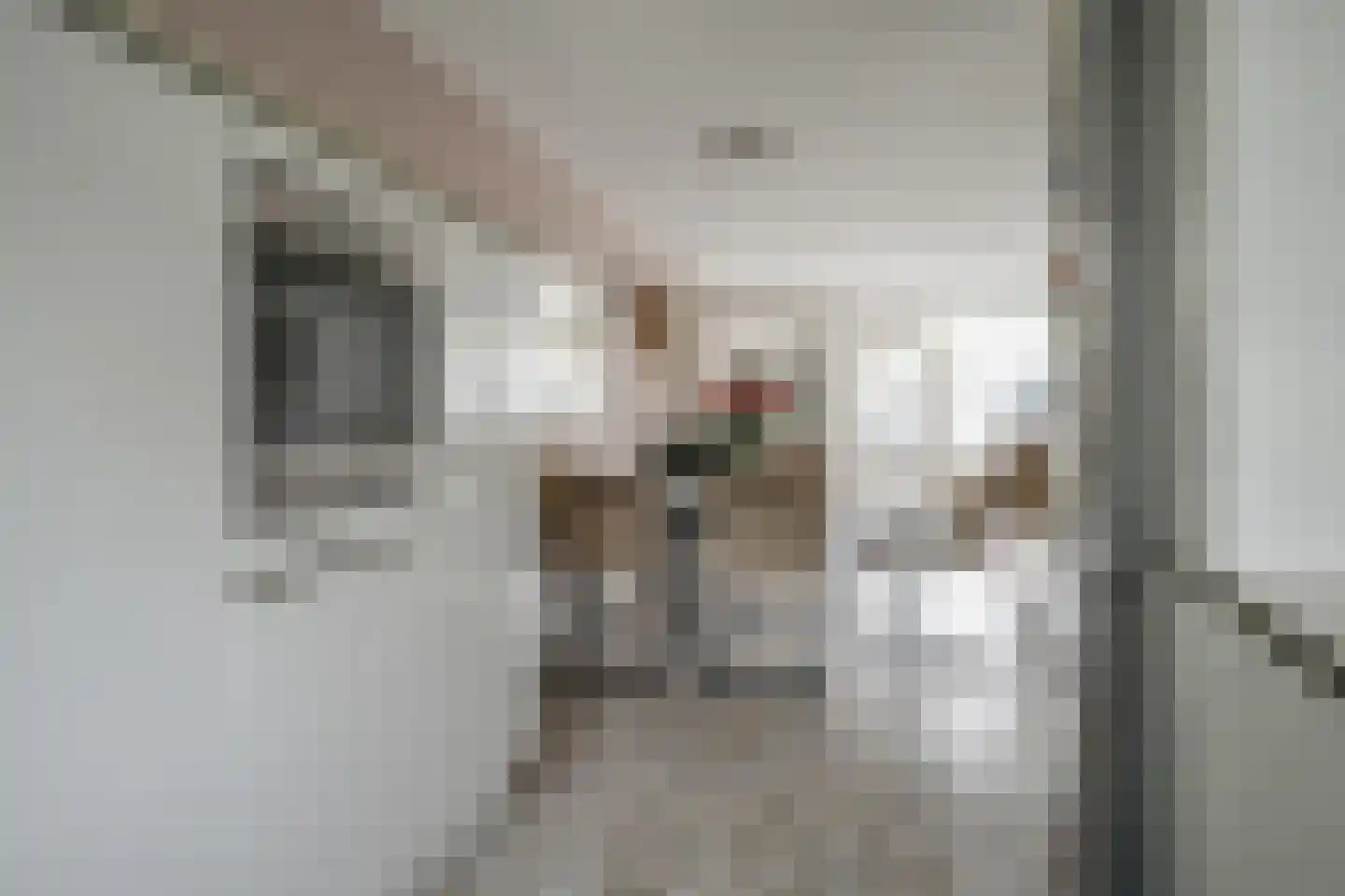 Hertshoornvaren 15 Bergschenhoek thumbnail 21