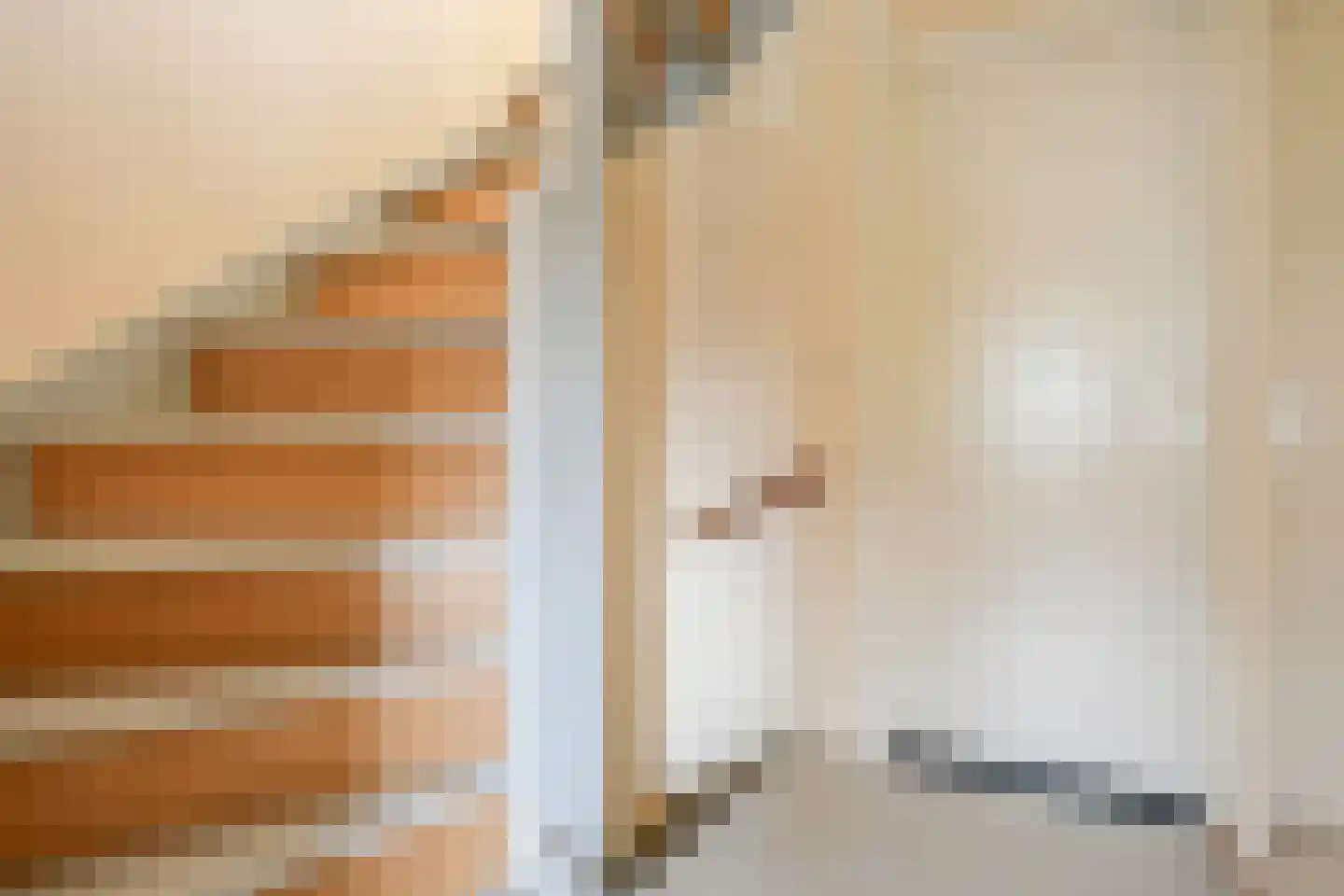 Hertshoornvaren 15 Bergschenhoek thumbnail 23