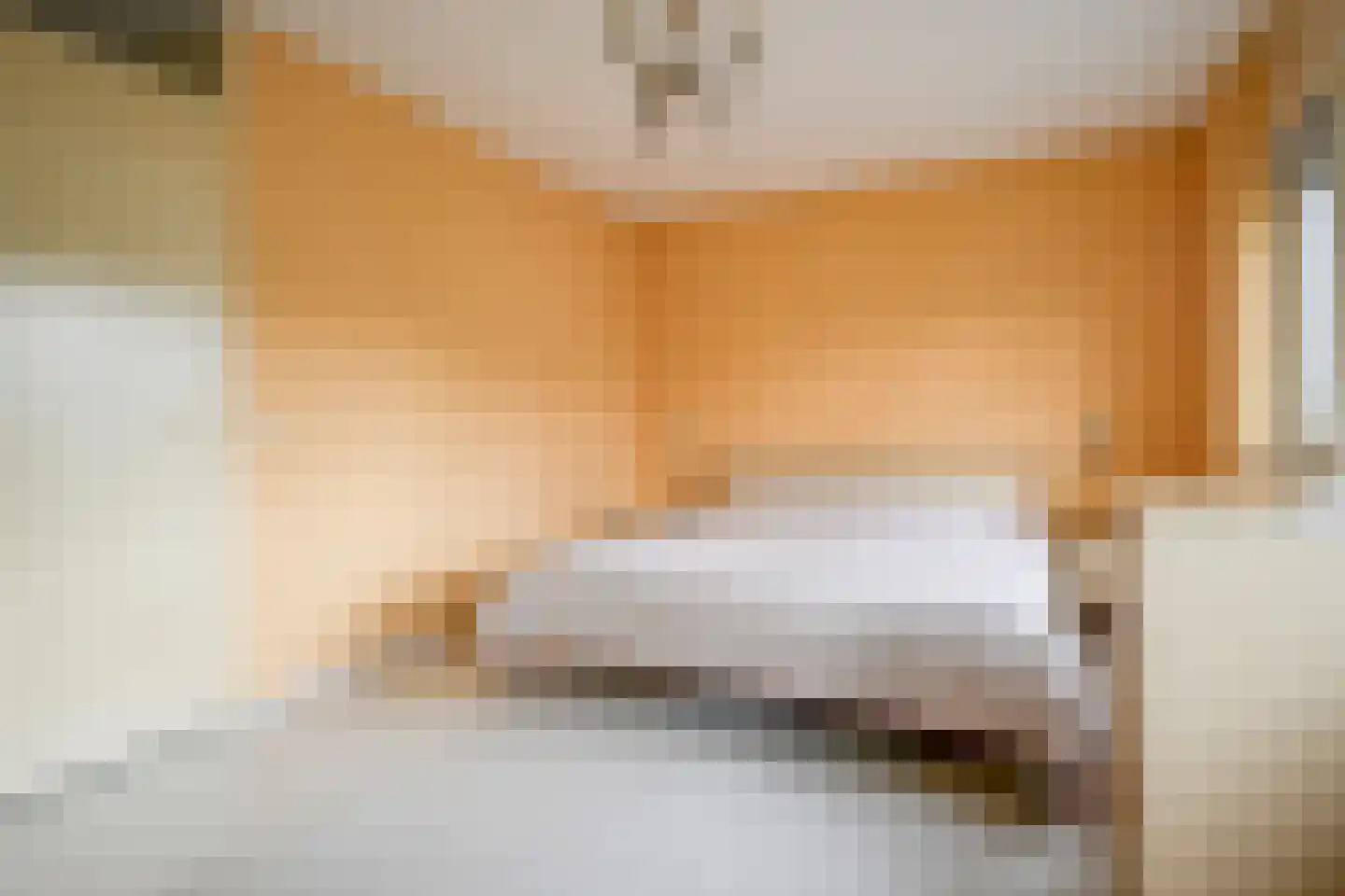 Hertshoornvaren 15 Bergschenhoek thumbnail 26