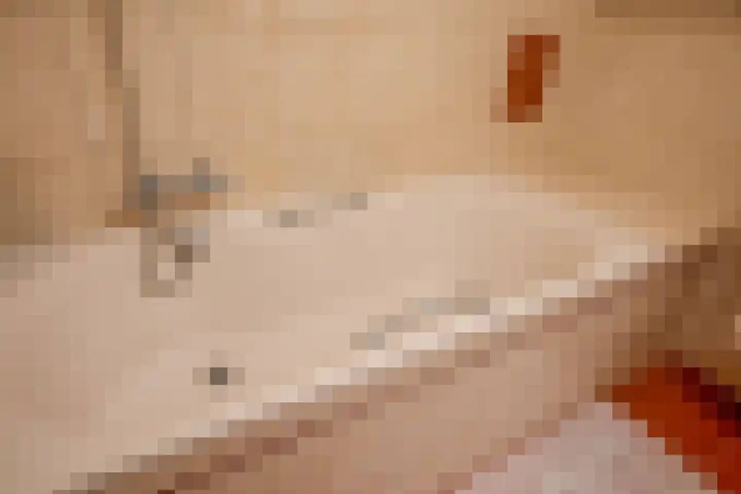 Hertshoornvaren 15 Bergschenhoek thumbnail 30