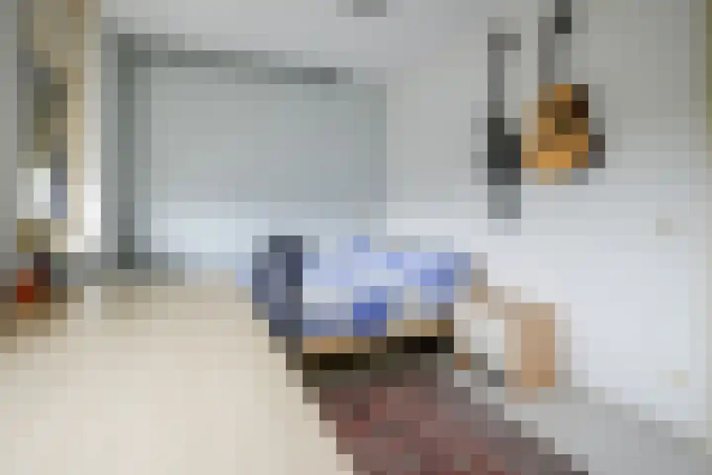Hertshoornvaren 15 Bergschenhoek thumbnail 34