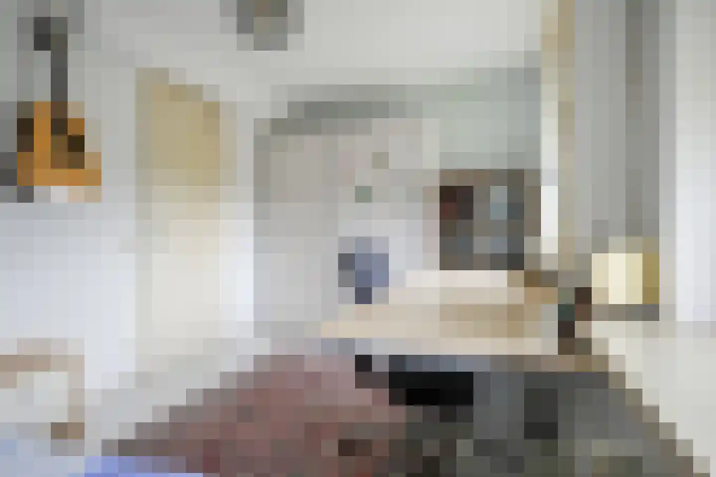 Hertshoornvaren 15 Bergschenhoek thumbnail 35