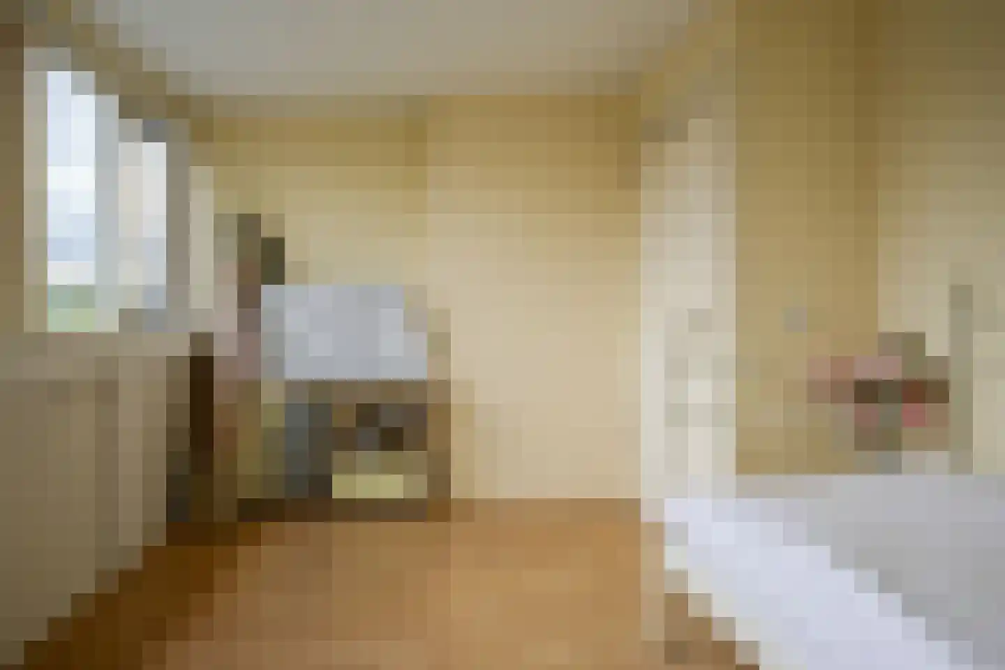 Hertshoornvaren 15 Bergschenhoek thumbnail 39