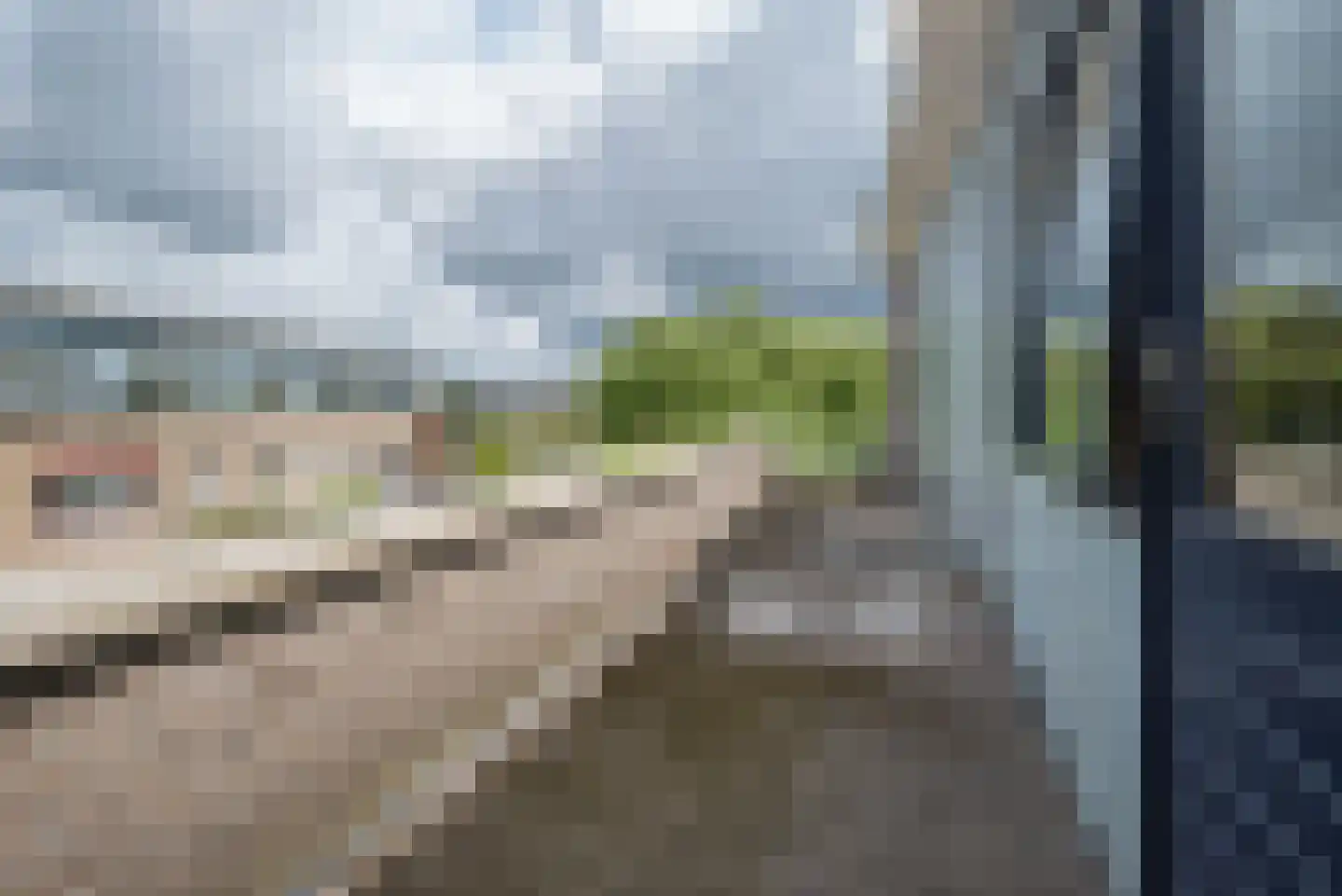 Hertshoornvaren 15 Bergschenhoek thumbnail 40