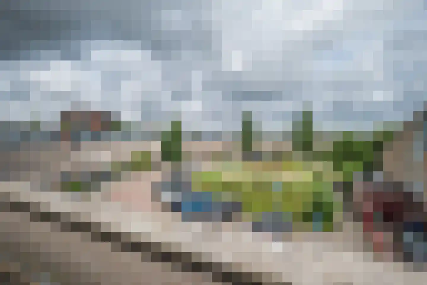 Hertshoornvaren 15 Bergschenhoek thumbnail 42