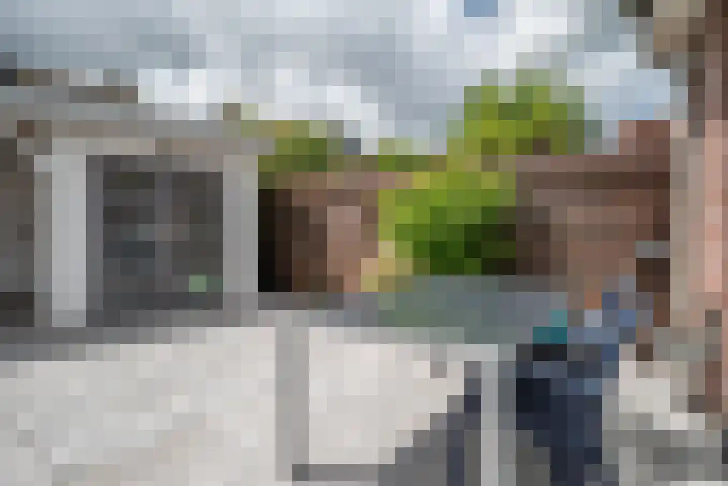 Hertshoornvaren 15 Bergschenhoek thumbnail 43