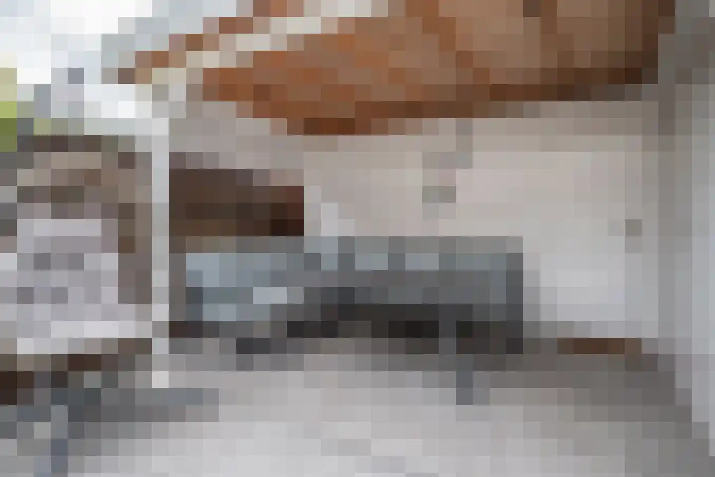 Hertshoornvaren 15 Bergschenhoek thumbnail 45