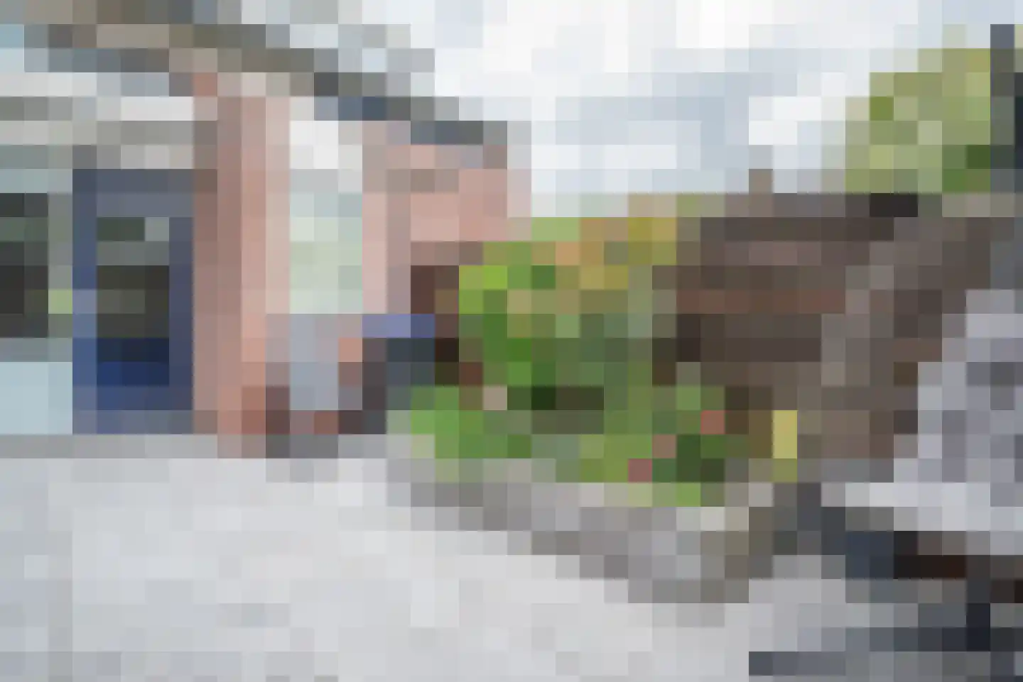 Hertshoornvaren 15 Bergschenhoek thumbnail 46