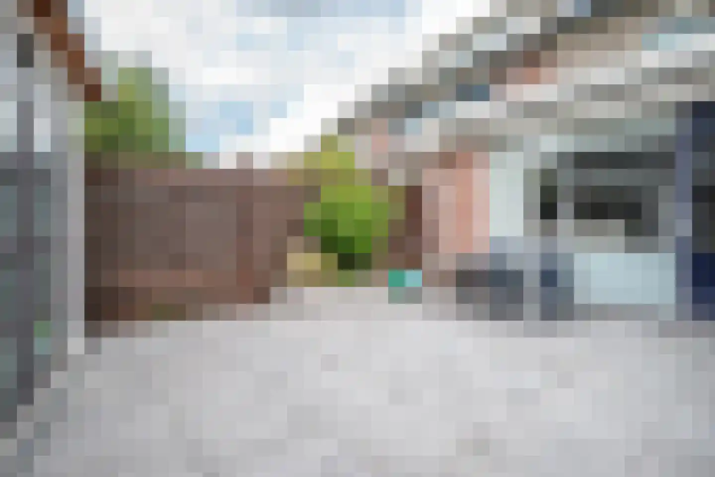 Hertshoornvaren 15 Bergschenhoek thumbnail 47
