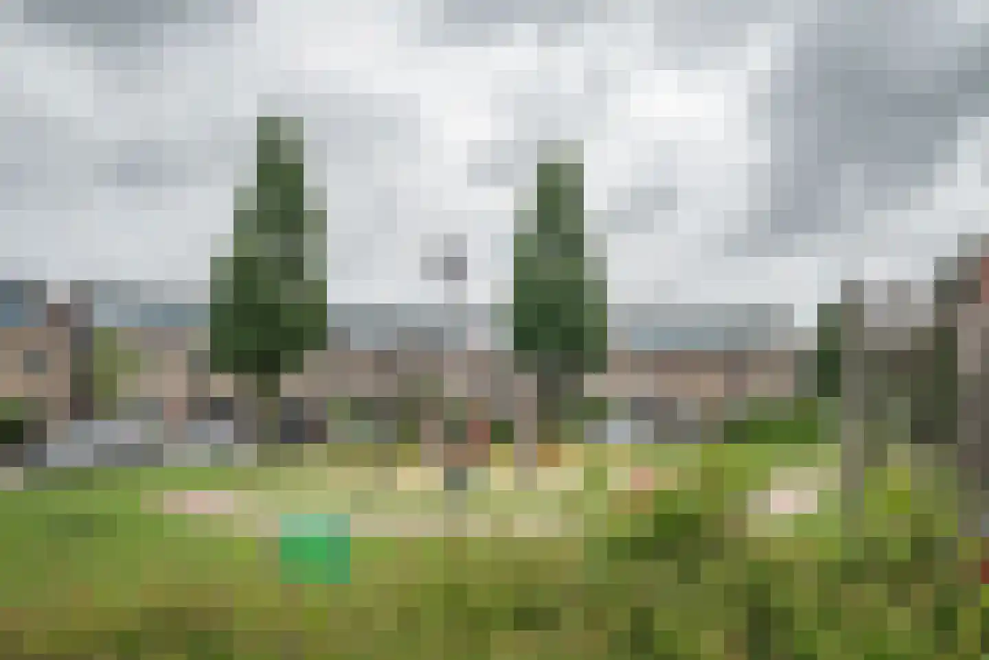 Hertshoornvaren 15 Bergschenhoek thumbnail 49