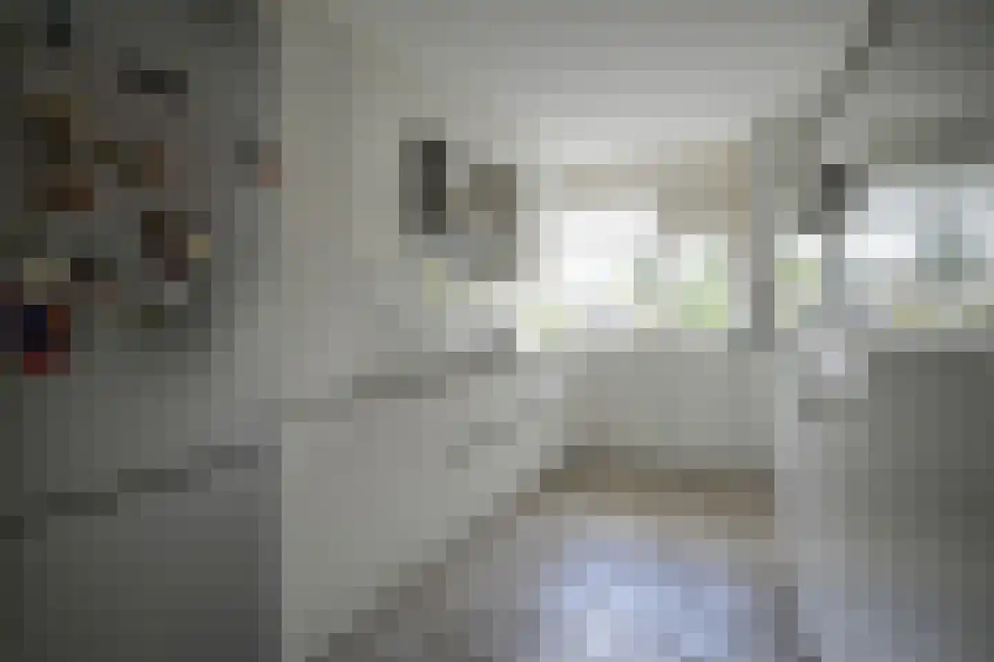 Hertshoornvaren 15 Bergschenhoek thumbnail 5