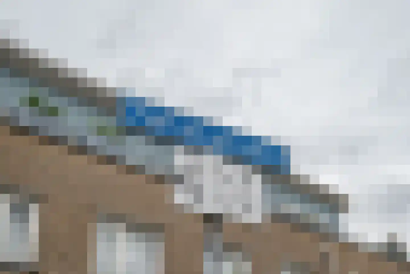Hertshoornvaren 15 Bergschenhoek thumbnail 50