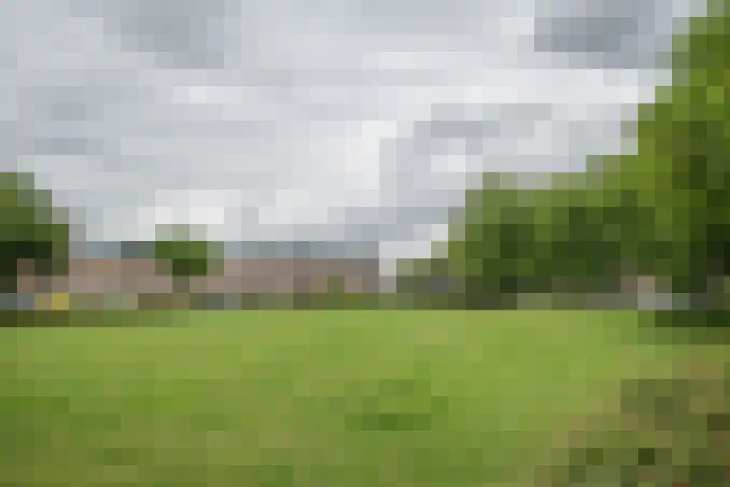 Hertshoornvaren 15 Bergschenhoek thumbnail 51