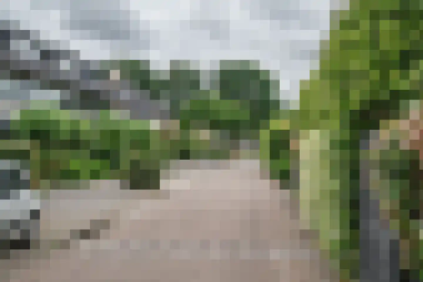 Hertshoornvaren 15 Bergschenhoek thumbnail 52