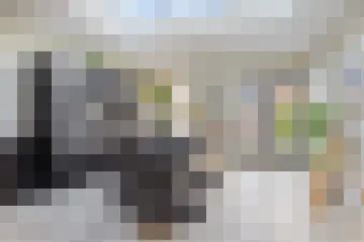 Hertshoornvaren 24 Bergschenhoek thumbnail 10