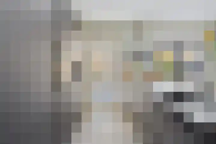 Hertshoornvaren 24 Bergschenhoek thumbnail 11