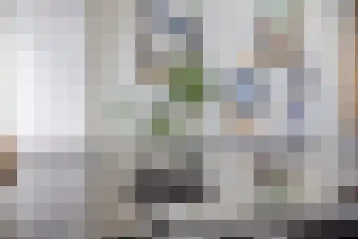 Hertshoornvaren 24 Bergschenhoek thumbnail 12