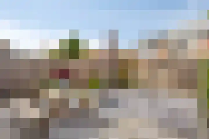 Hertshoornvaren 24 Bergschenhoek thumbnail 13