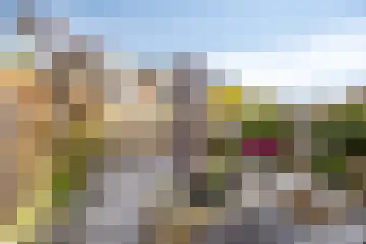 Hertshoornvaren 24 Bergschenhoek thumbnail 14