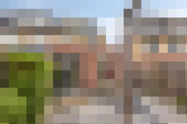 Hertshoornvaren 24 Bergschenhoek thumbnail 15