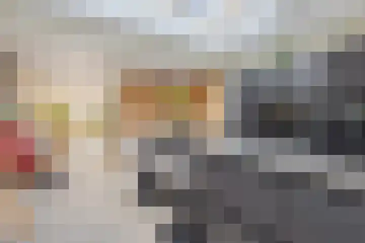 Hertshoornvaren 24 Bergschenhoek thumbnail 16