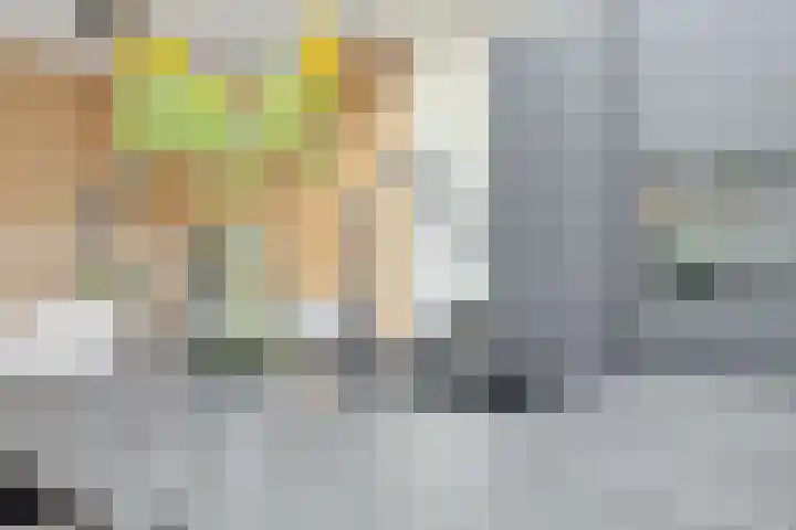 Hertshoornvaren 24 Bergschenhoek thumbnail 17