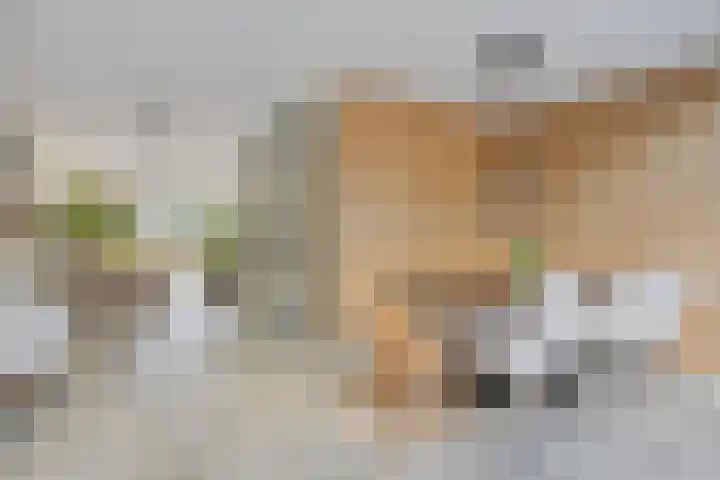 Hertshoornvaren 24 Bergschenhoek thumbnail 18