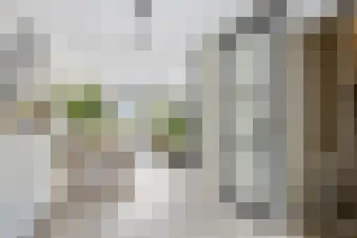 Hertshoornvaren 24 Bergschenhoek thumbnail 19