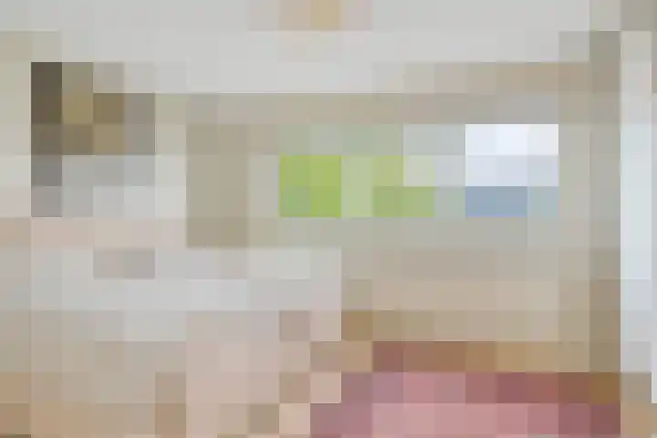 Hertshoornvaren 24 Bergschenhoek thumbnail 20