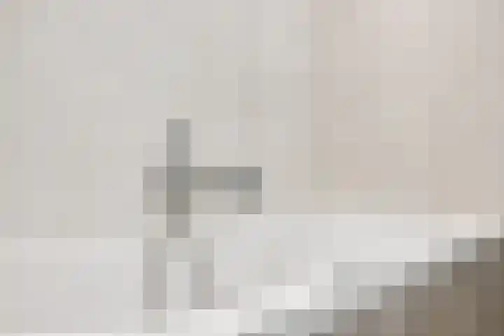 Hertshoornvaren 24 Bergschenhoek thumbnail 22