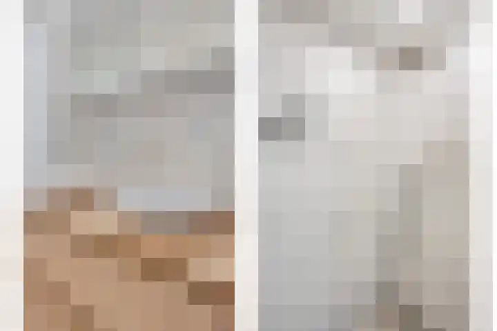 Hertshoornvaren 24 Bergschenhoek thumbnail 23