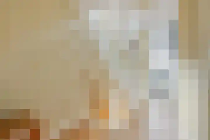 Hertshoornvaren 24 Bergschenhoek thumbnail 24