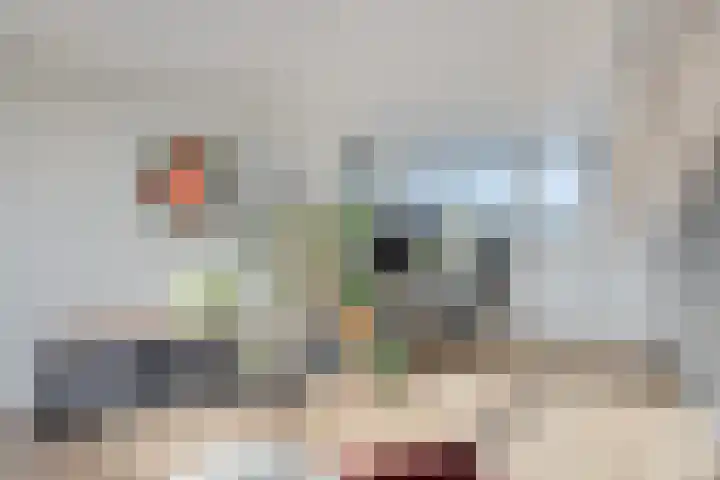 Hertshoornvaren 24 Bergschenhoek thumbnail 28