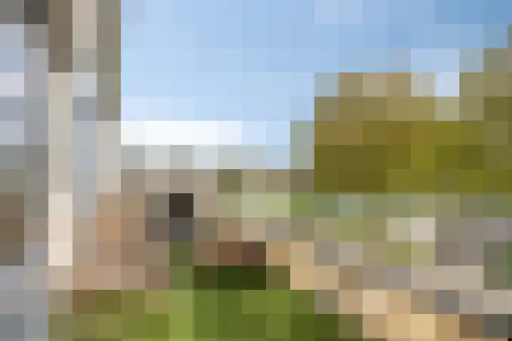 Hertshoornvaren 24 Bergschenhoek thumbnail 30