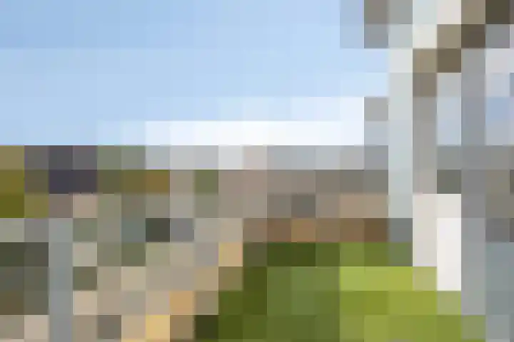 Hertshoornvaren 24 Bergschenhoek thumbnail 31