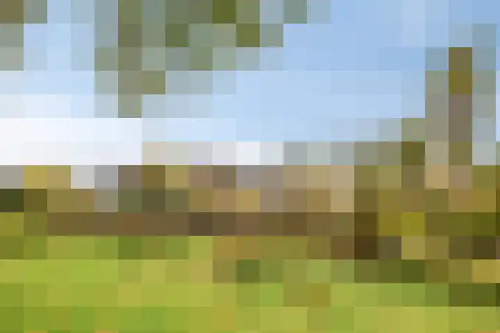 Hertshoornvaren 24 Bergschenhoek thumbnail 32
