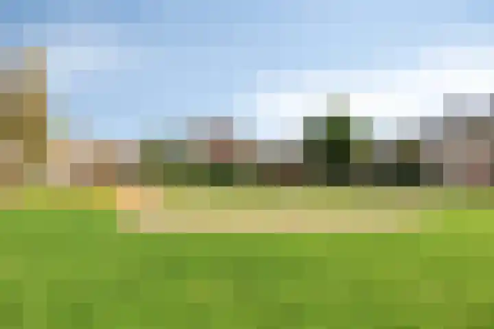 Hertshoornvaren 24 Bergschenhoek thumbnail 33