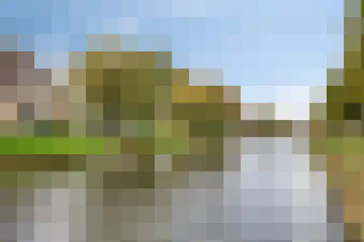 Hertshoornvaren 24 Bergschenhoek thumbnail 34