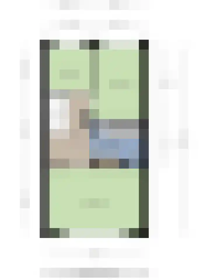 Hertshoornvaren 24 Bergschenhoek thumbnail 36