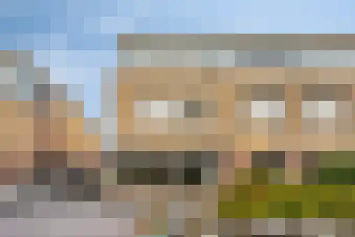 Hertshoornvaren 24 Bergschenhoek thumbnail 4