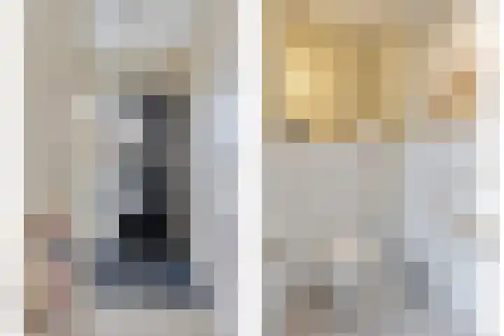 Hertshoornvaren 24 Bergschenhoek thumbnail 5