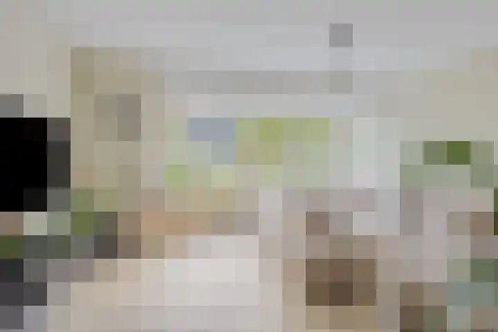 Hertshoornvaren 24 Bergschenhoek thumbnail 6