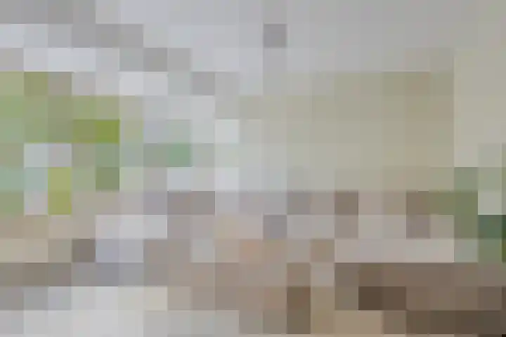 Hertshoornvaren 24 Bergschenhoek thumbnail 7