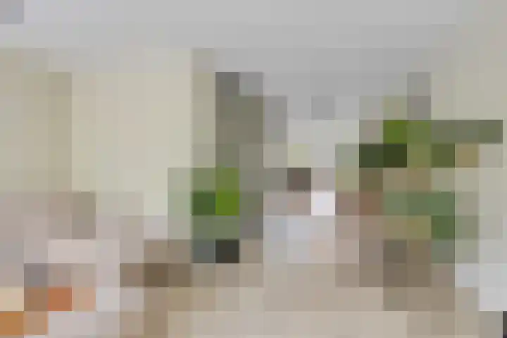 Hertshoornvaren 24 Bergschenhoek thumbnail 8