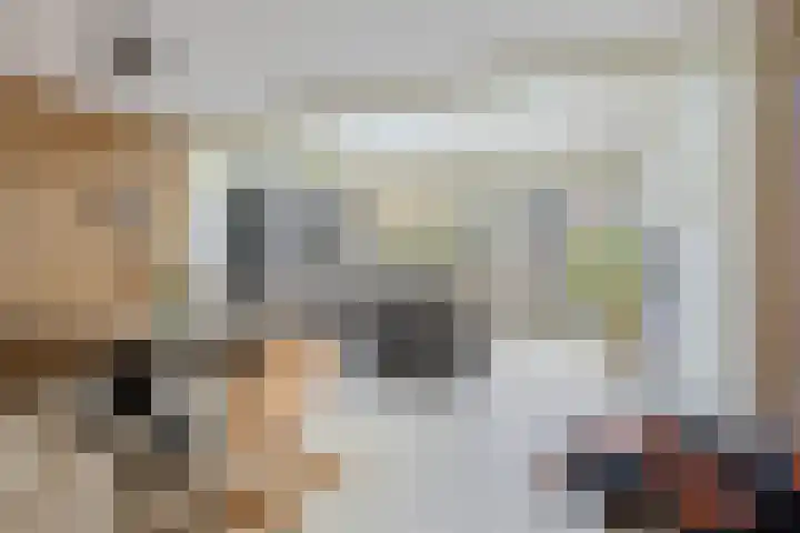Hertshoornvaren 24 Bergschenhoek thumbnail 9