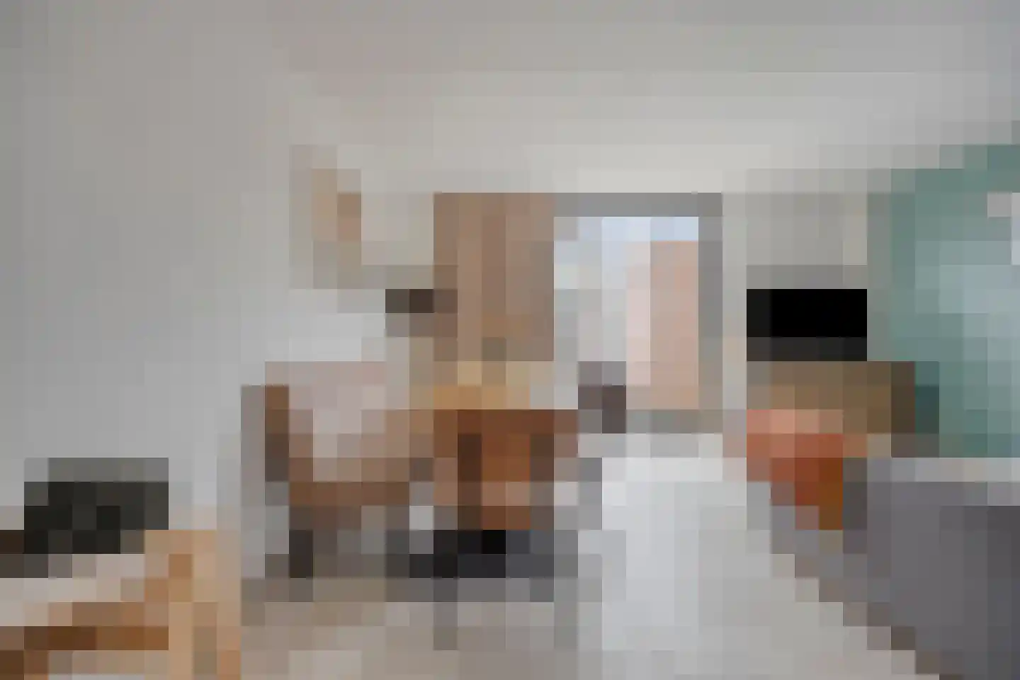 Hertshoornvaren 6 Bergschenhoek thumbnail 11