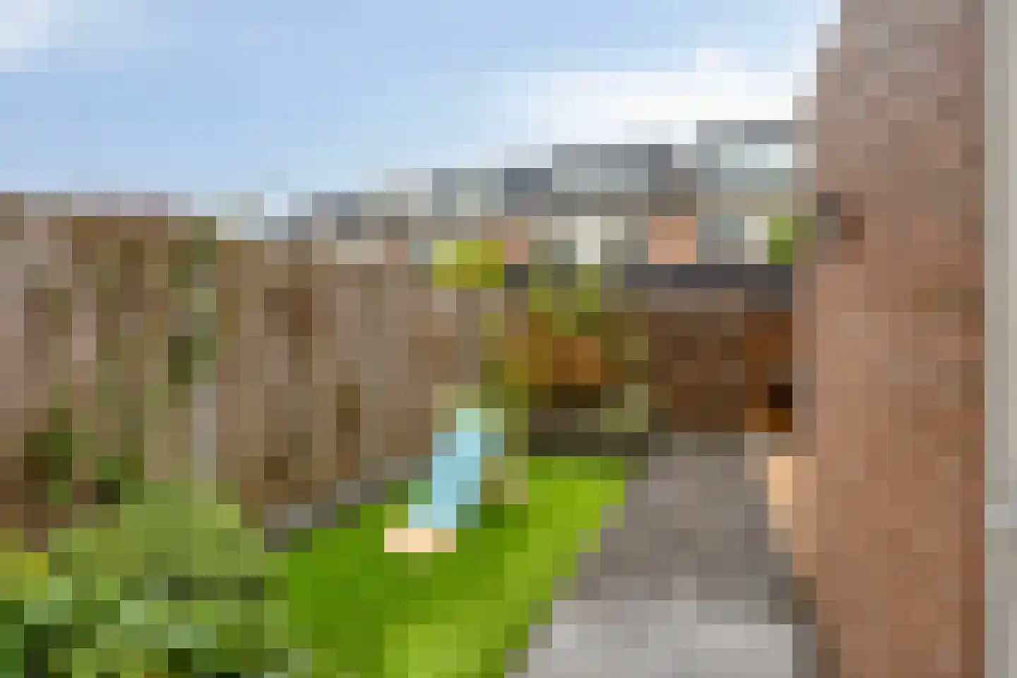 Hertshoornvaren 6 Bergschenhoek thumbnail 13