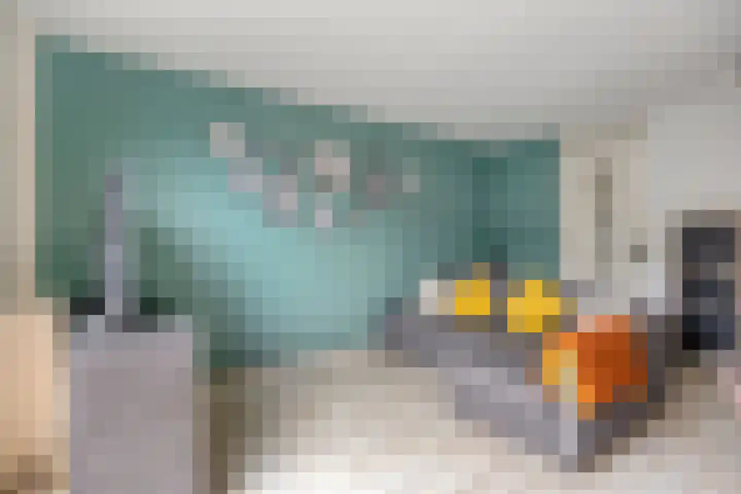 Hertshoornvaren 6 Bergschenhoek thumbnail 15