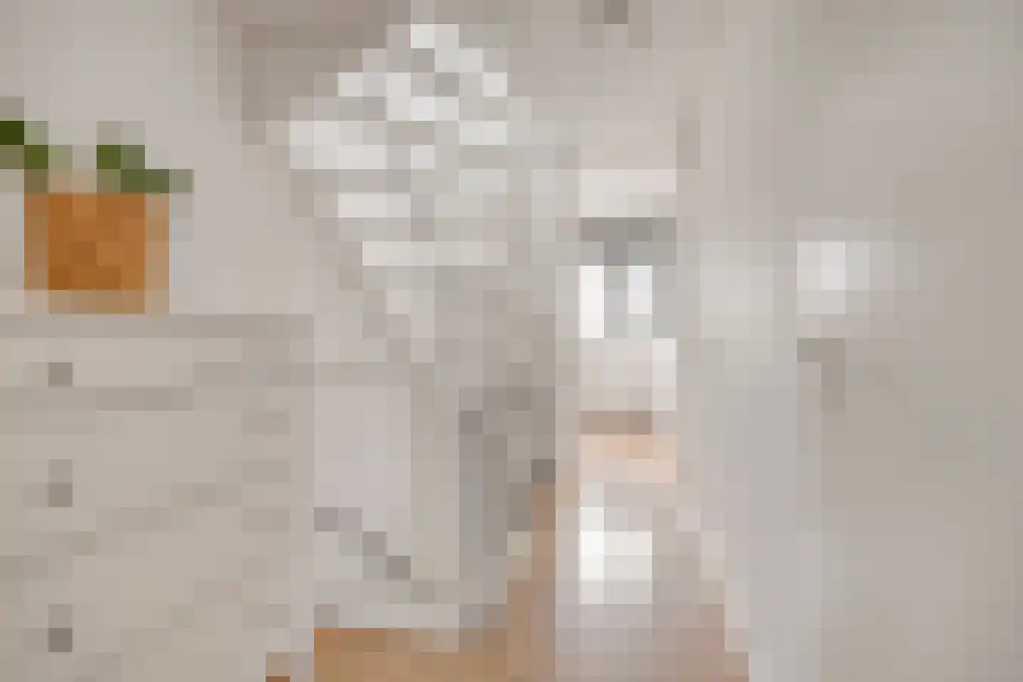 Hertshoornvaren 6 Bergschenhoek thumbnail 16